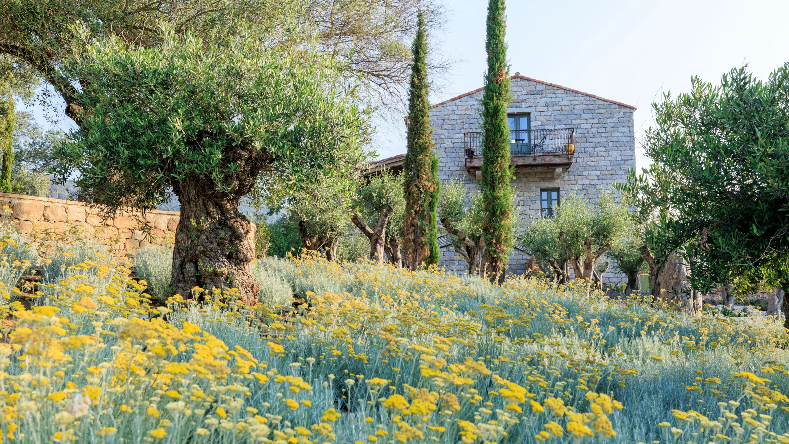 Ilustrasi domaine de murtoli untuk artikel Domaine de Murtoli Buka Farm Hotel Baru di Corsica