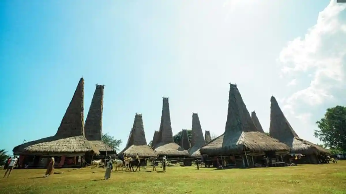 Pesona Kampung Adat Ratenggaro di Pulau Sumba Ilustrasi kampung adat ratenggaro untuk artikel Pesona Kampung Adat Ratenggaro di Pulau Sumba